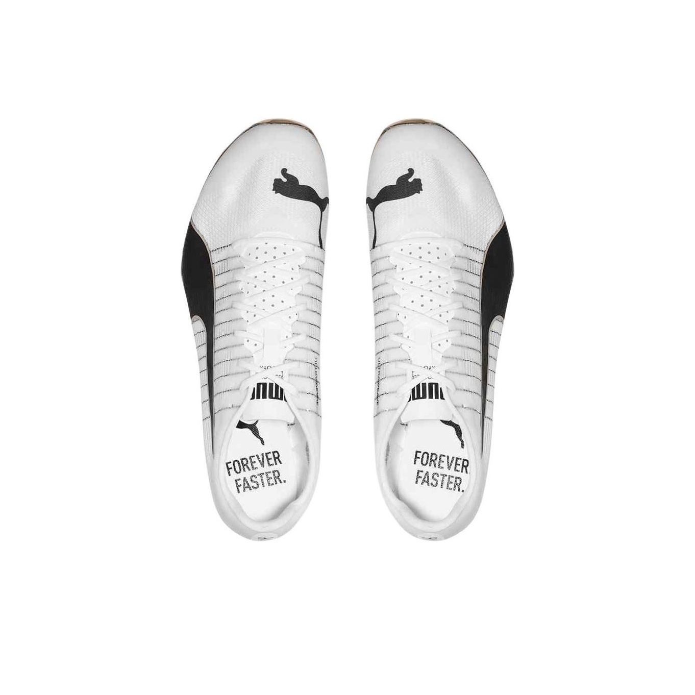 PUMA EvoSPEED 400 Nitro 2 Low  - Puma Shoes Rs-X review and price